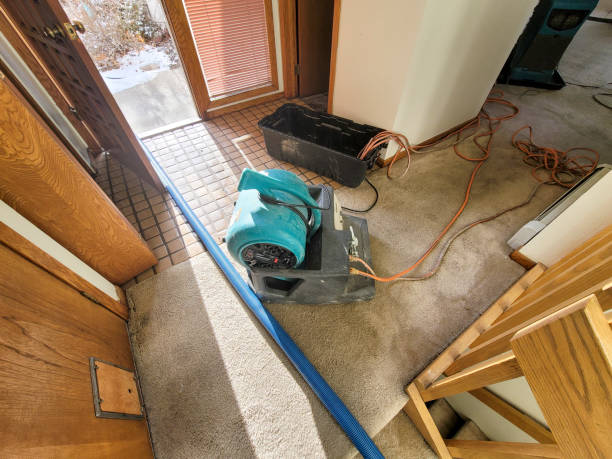 Best Flood damage cleanup  in Baden, PA
