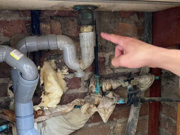 Best Water damage contractors near me  in Baden, PA