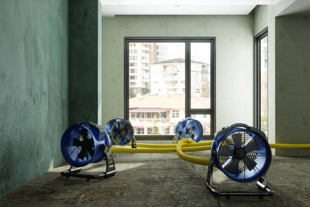 Best Water damage restoration near me  in Baden, PA
